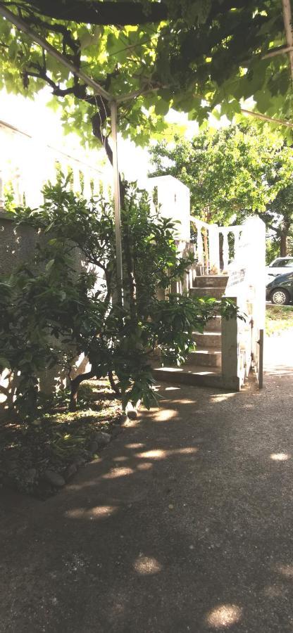 Sobe I Apartmani Marovic Petrovac Kültér fotó