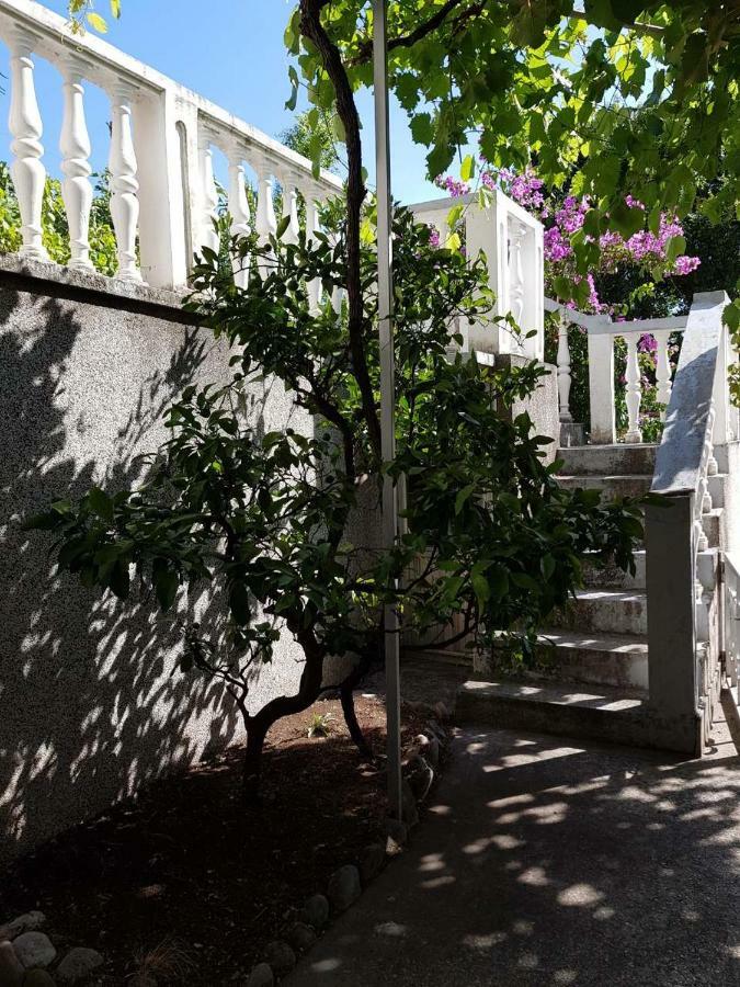 Sobe I Apartmani Marovic Petrovac Kültér fotó
